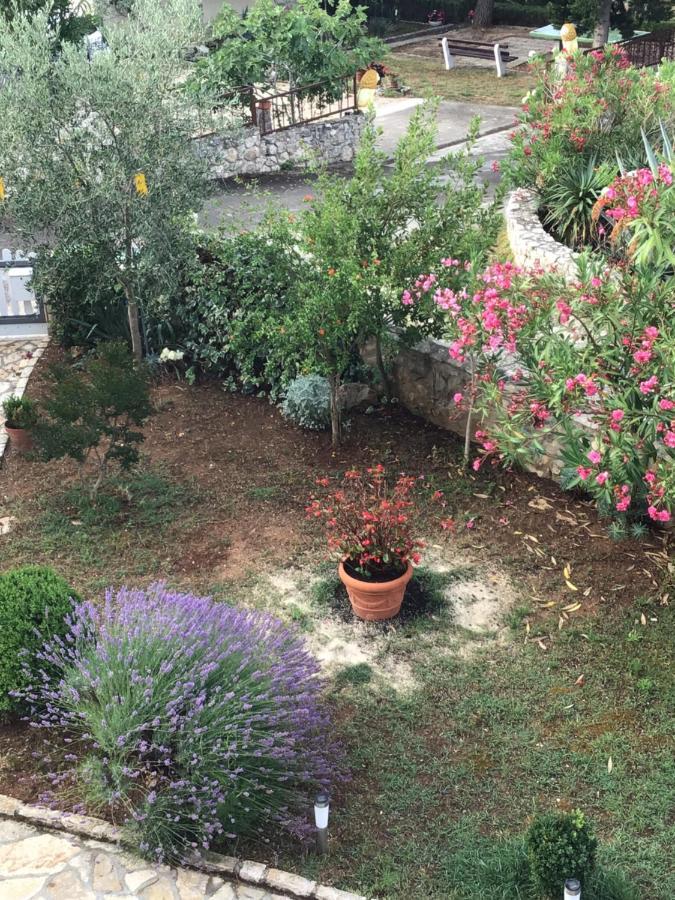 Apartmani Misic Ždrelac Exterior foto